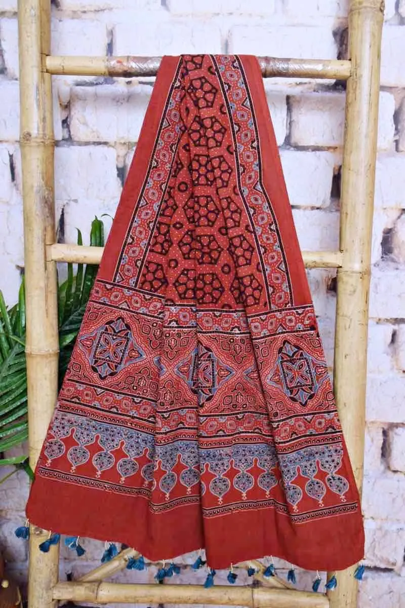 Ajrakh Triple Block Cotton Suit